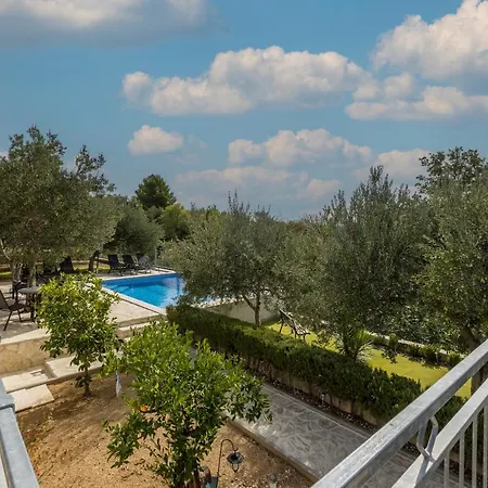 Olive Gardens Vila *